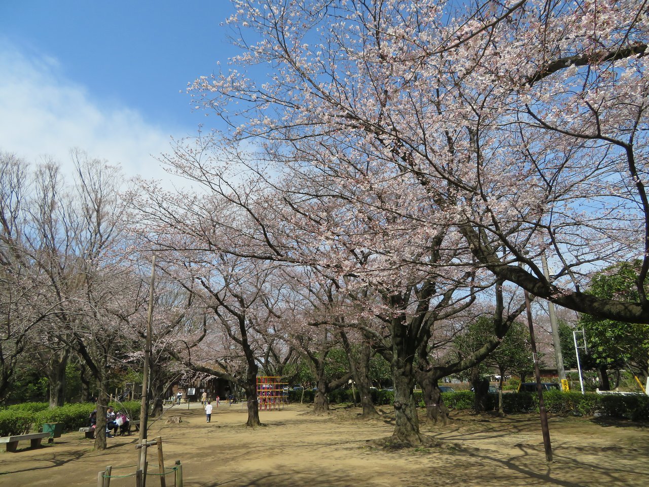 ⛩️ 큰 폭포 부동명왕 금장사 (오타키 후도손 콘조지) 이미지 12